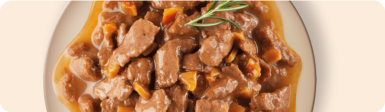 Aliment chiots