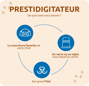 Jeu Prestidigitateur