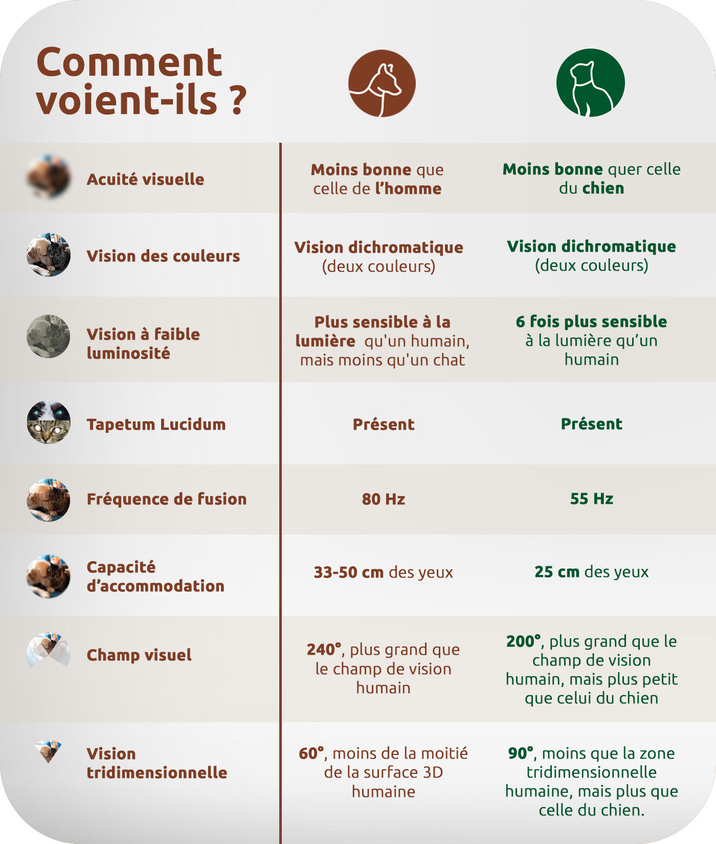 comment voient-ils ?