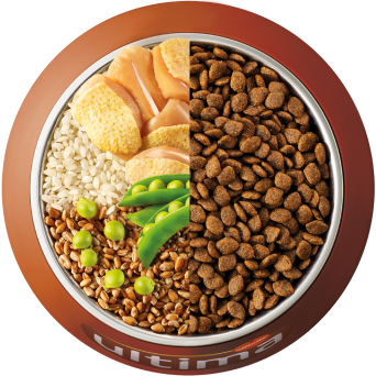 Bowl con ingredientes comida seca perro