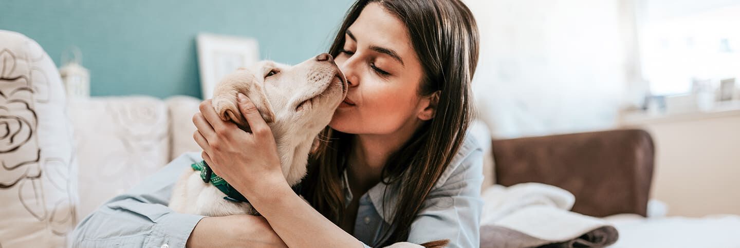 Quelle race de chien est faite pour vous?