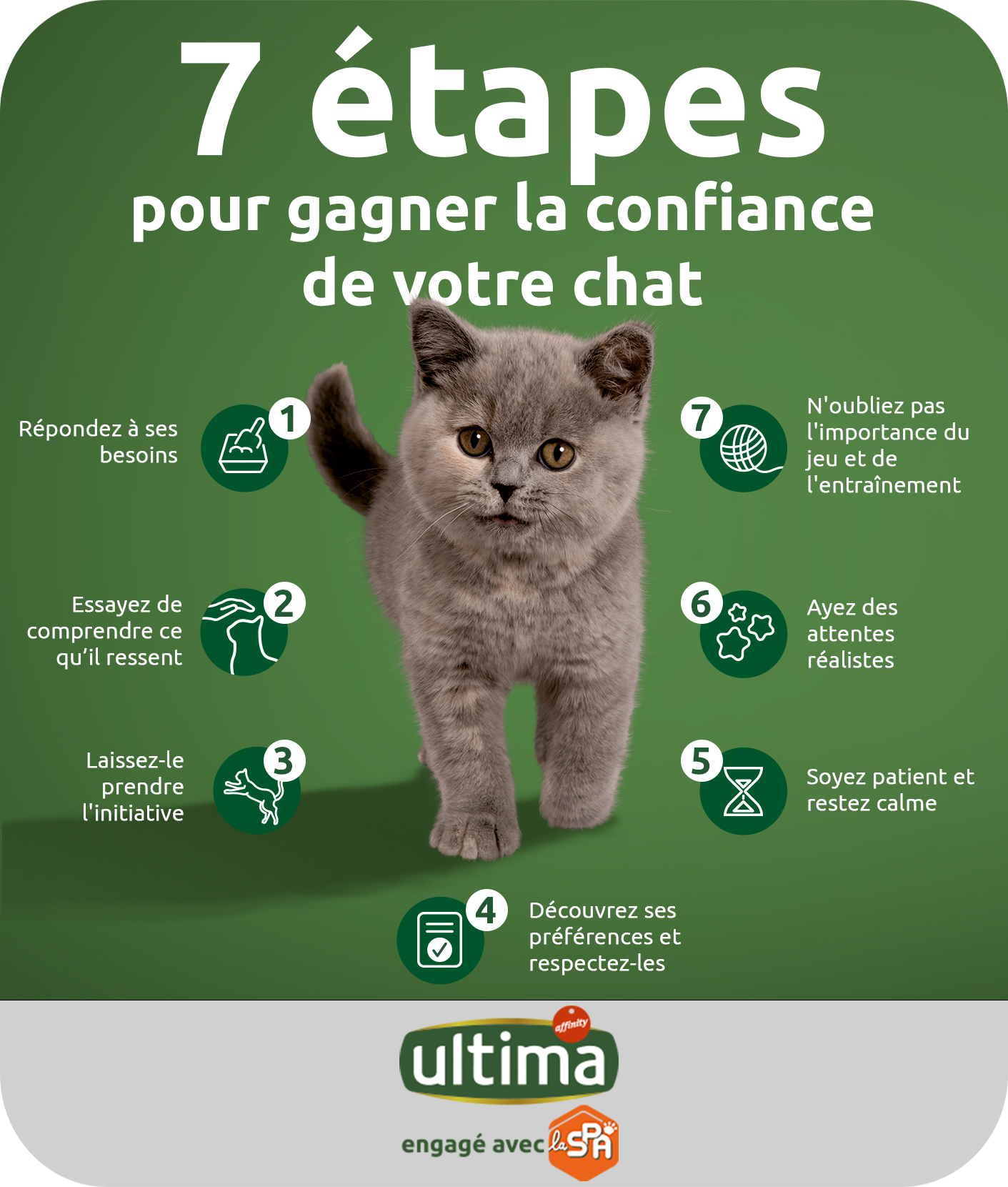 7 étapes pour gagner la confiance de votre chat