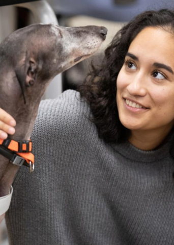 Home Ultima Banner fundaci&oacute;n desktop.jpg