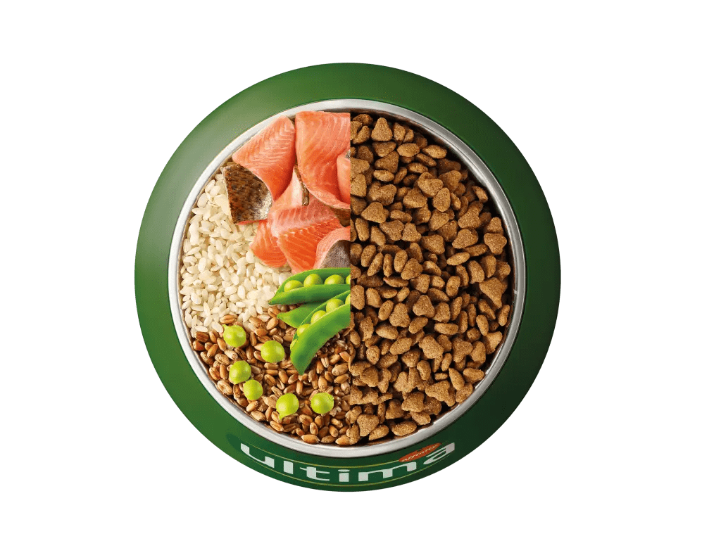 Truite, riz, c&eacute;r&eacute;ales compl&egrave;tes et pois