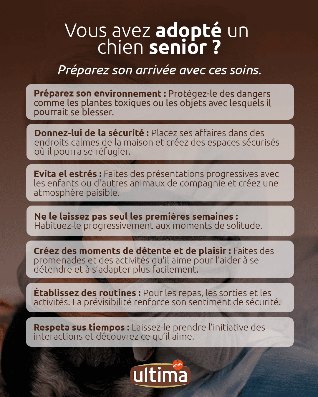 Adoption de chien âgé