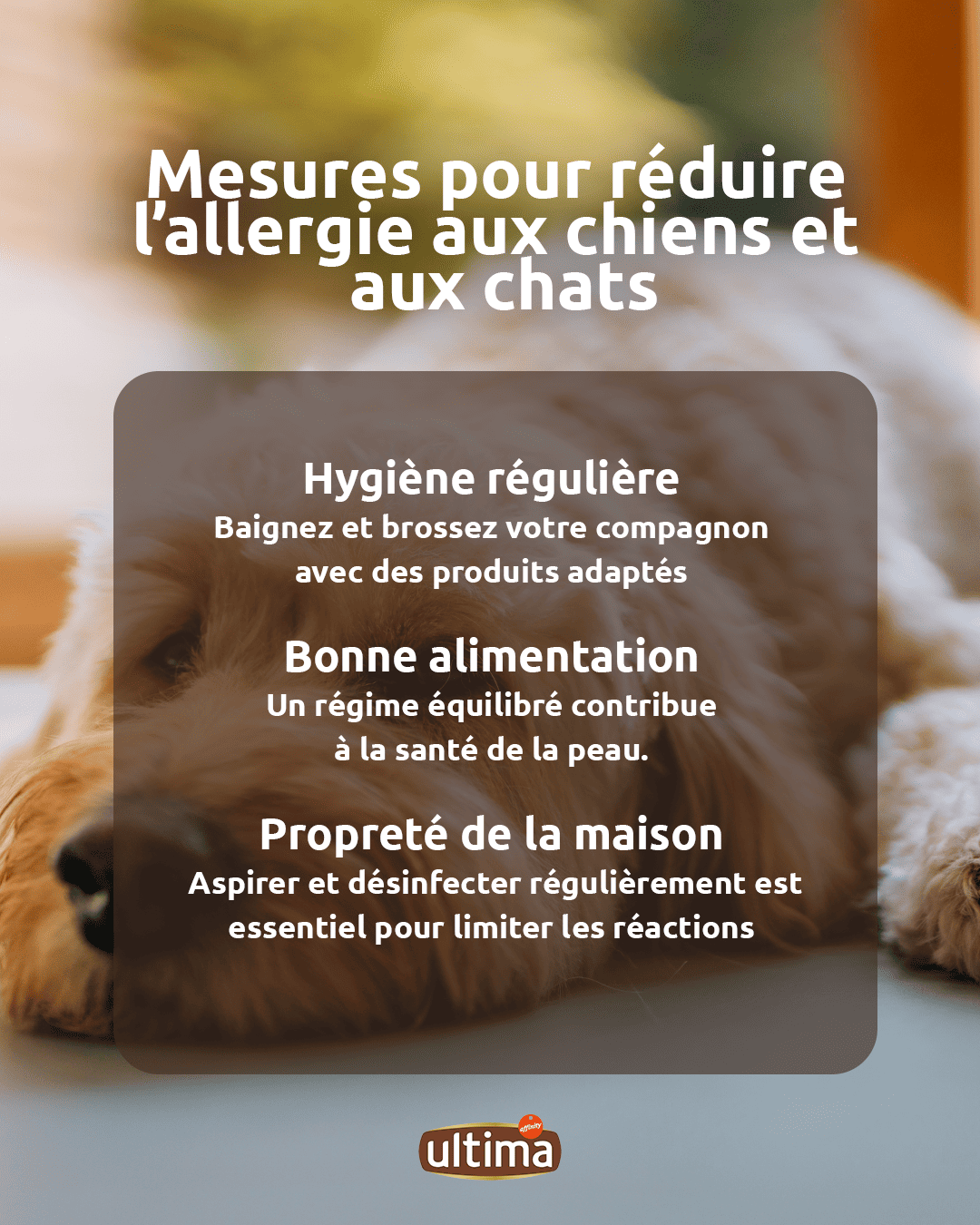 Infographie intitul&eacute;e &ldquo;Mesures pour r&eacute;duire l&rsquo;allergie aux chiens et aux chats&rdquo;. Texte : Hygi&egrave;ne r&eacute;guli&egrave;re : baignez et brossez votre compagnon avec des produits adapt&eacute;s. Bonne alimentation : un r&eacute;gime &eacute;quilibr&eacute; contribue &agrave; la sant&eacute; de la peau. Propret&eacute; de la maison : aspirer et d&eacute;sinfecter r&eacute;guli&egrave;rement est essentiel pour limiter les r&eacute;actions allergiques.