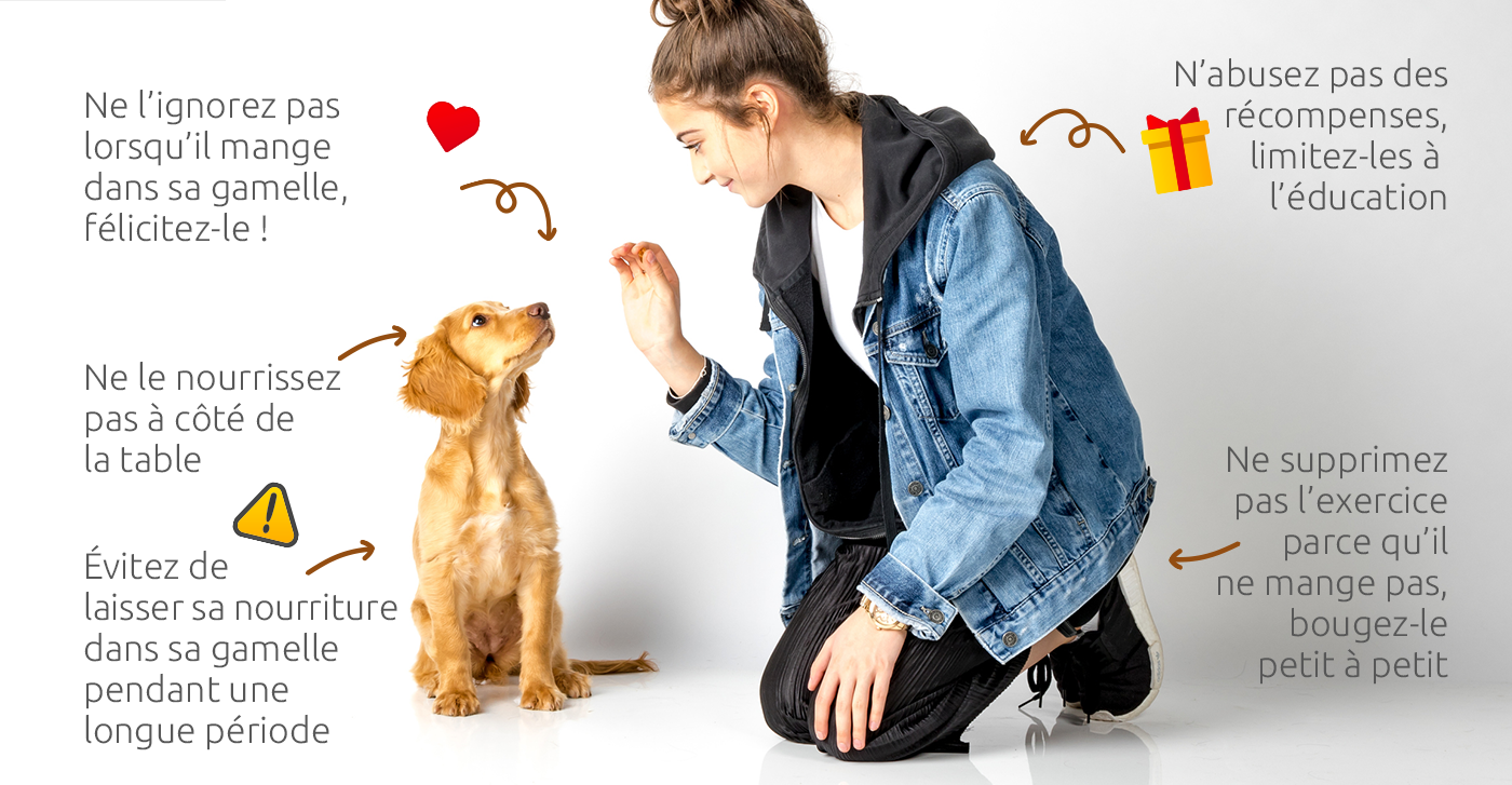femme nourrissant un chien
