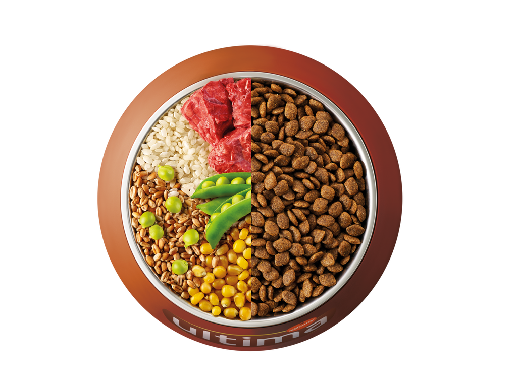 B&oelig;uf, riz, c&eacute;r&eacute;ales compl&egrave;tes et pois
