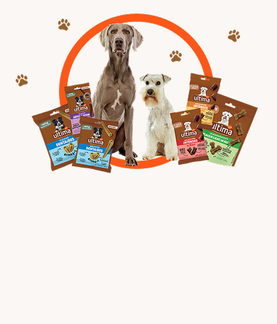 Landing snacks FR Banner snacks Desktop.png