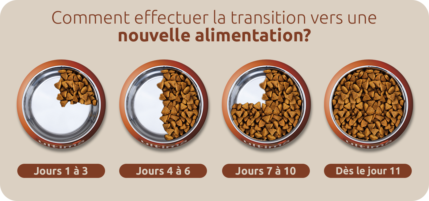 transition alimentation