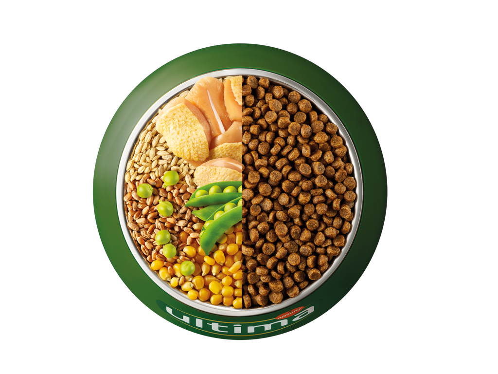 Poulet, orge, c&eacute;r&eacute;ales compl&egrave;tes et pois