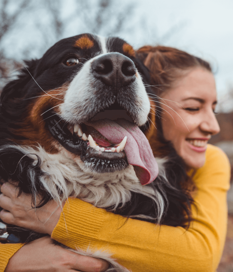 Image Link For Tout ce que vous devez savoir sur la sant&eacute; d&rsquo;un chien adopt&eacute;