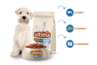 Ultima Junior pour chiots