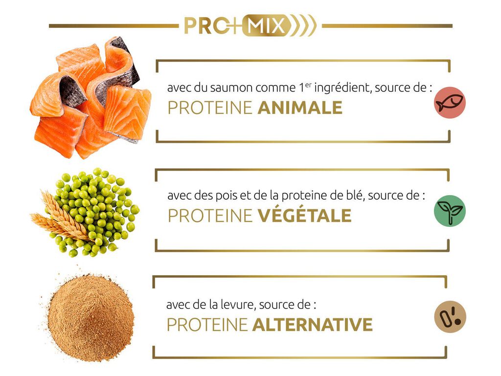 Notre association innovante de prot&eacute;ines de haute qualit&eacute;, facile &agrave; dig&eacute;rer, qui apporte des acides amin&eacute;s essentiels pour contribuer au maintien de sa masse musculaire.