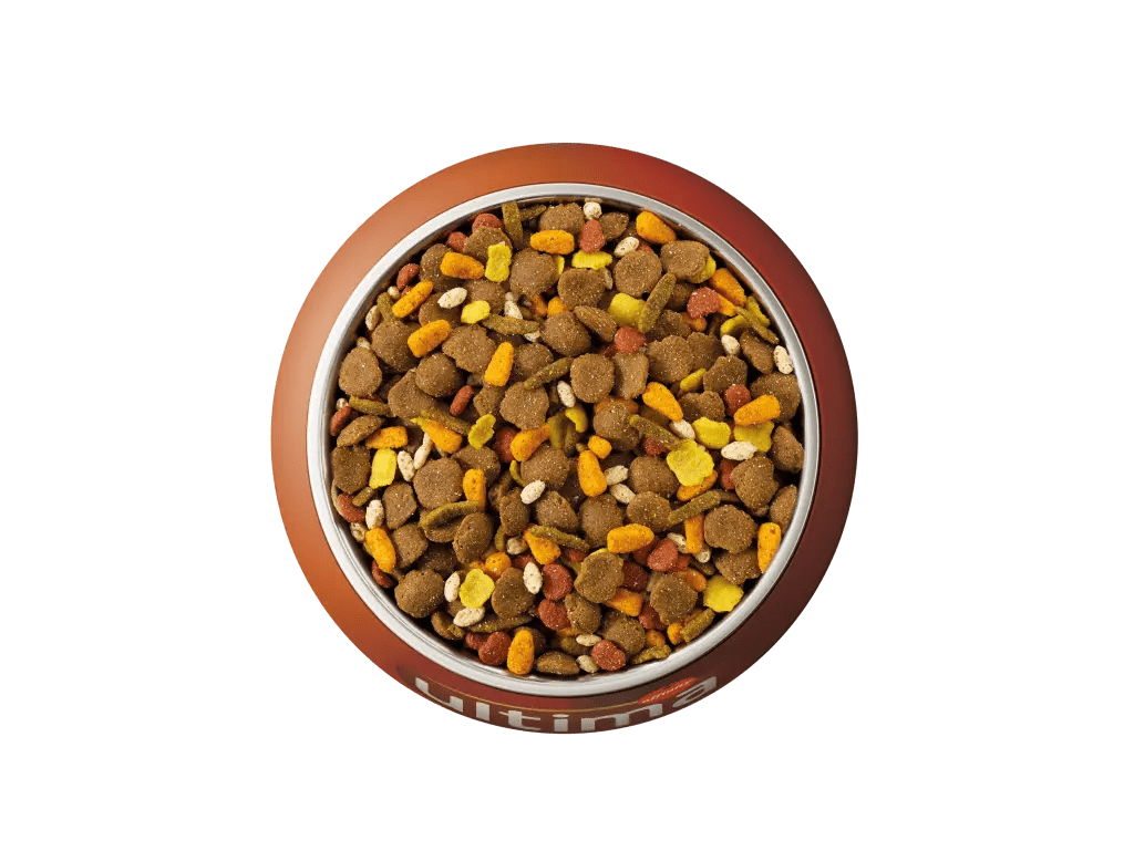 Au poulet, aux c&eacute;r&eacute;ales compl&egrave;tes, aux carottes, aux haricots verts et au riz