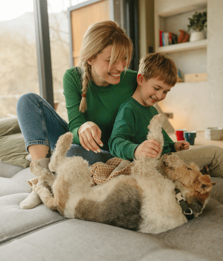 Image Link For Comment divertir son chien &agrave; la maison