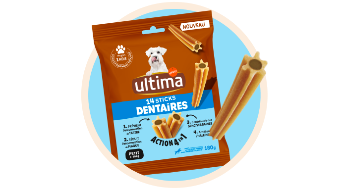 Sticks dentaires