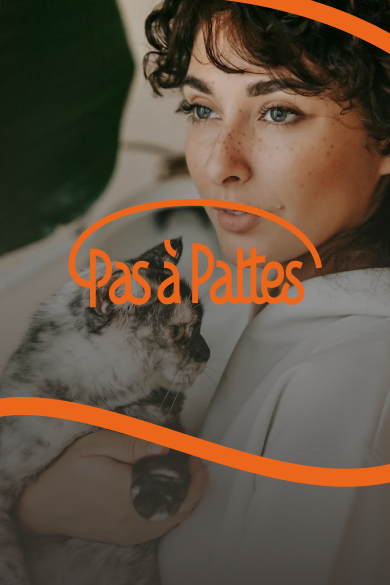 Banner Standard@1x FR desktop.png