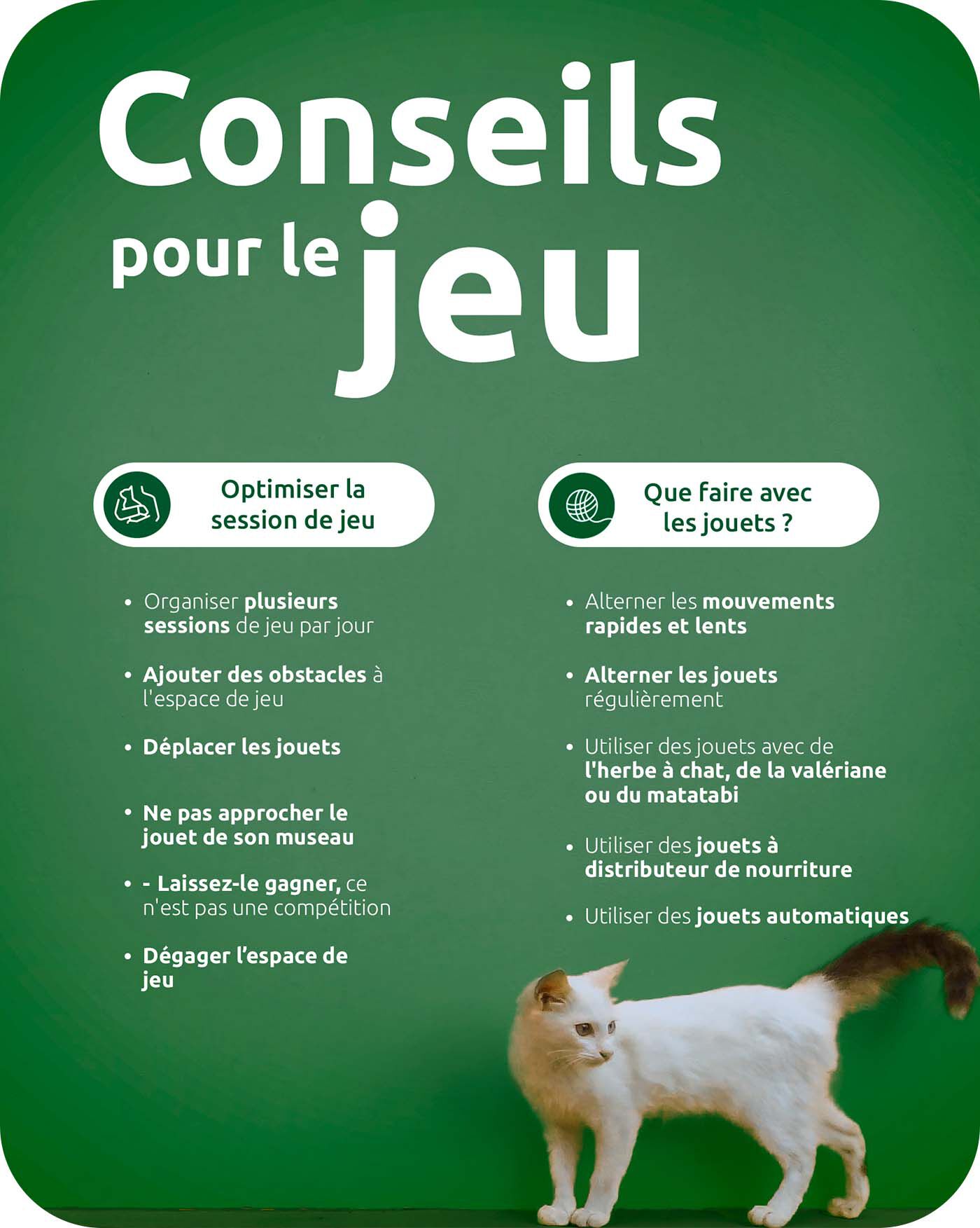 conseils pour le jeu