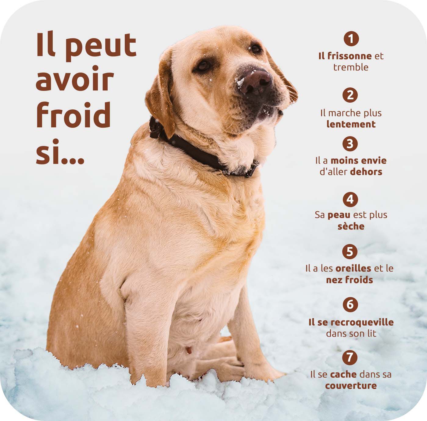 il peut avoir froid si...