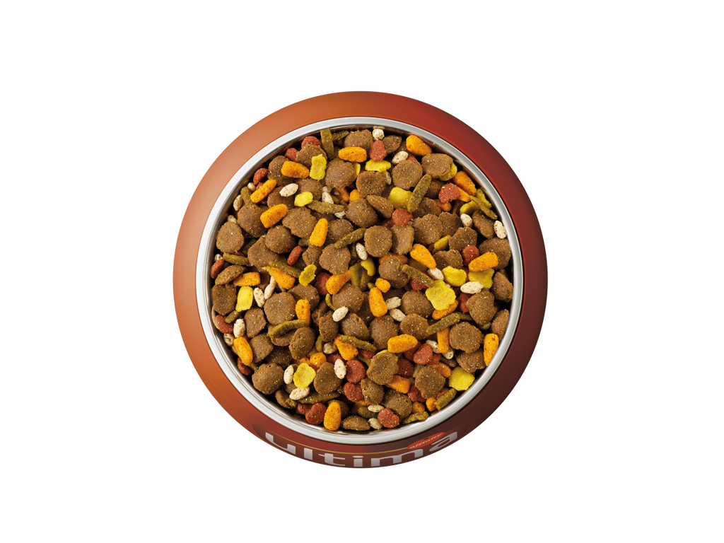 Au poulet, aux c&eacute;r&eacute;ales compl&egrave;tes, aux carottes, aux haricots verts et au riz