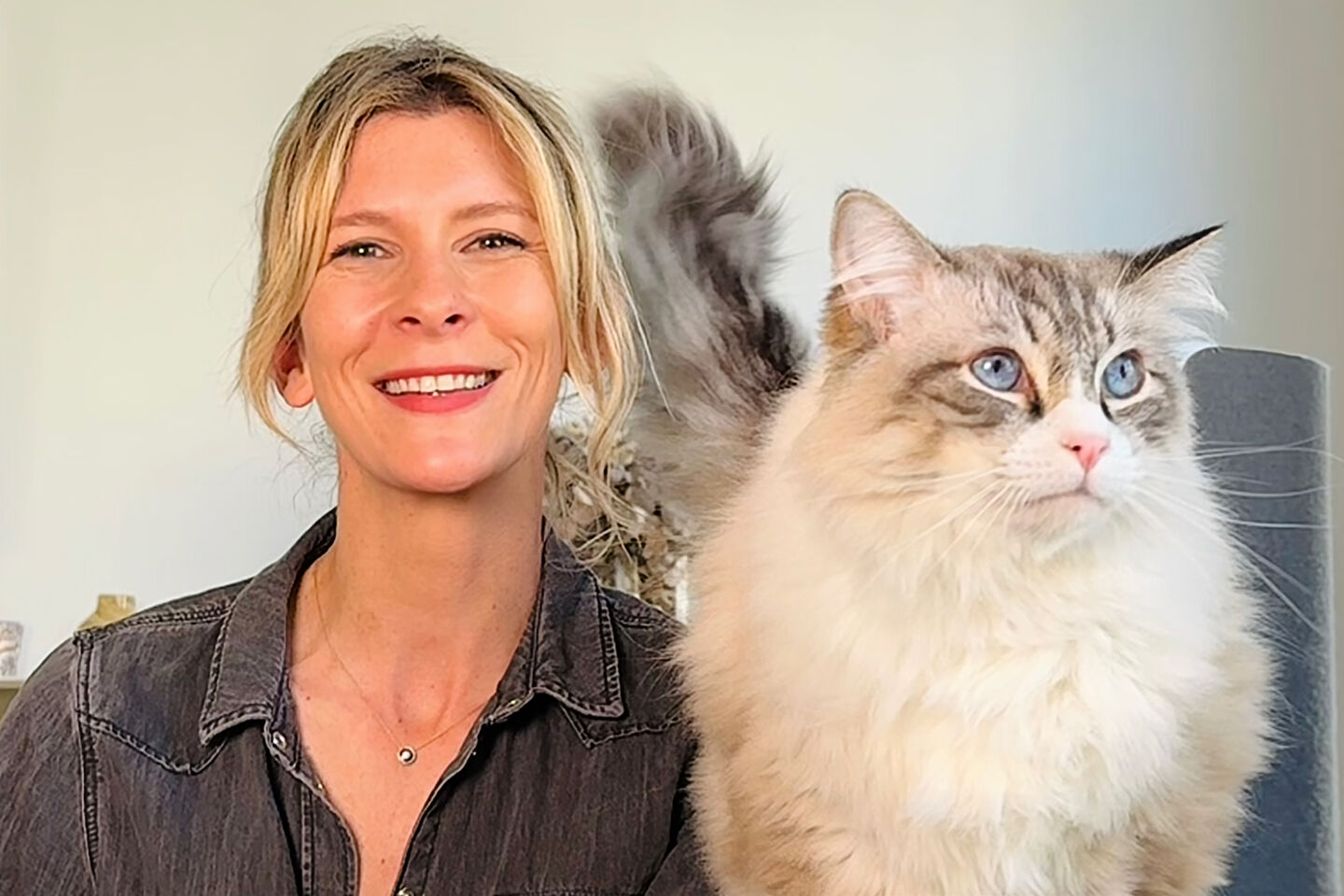 conseils essentiels pour des vacances heureuses avec votre chien ou chat