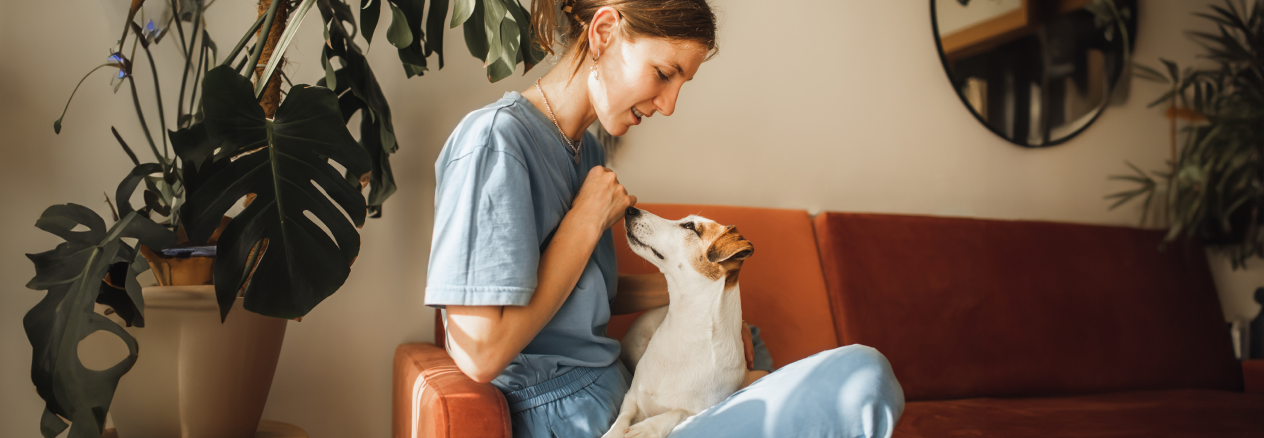 Conseils avant que votre chien n'arrive chez vous