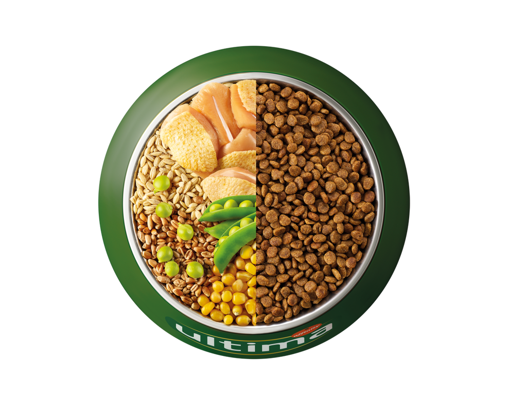 Poulet, orge, c&eacute;r&eacute;ales compl&egrave;tes et pois
