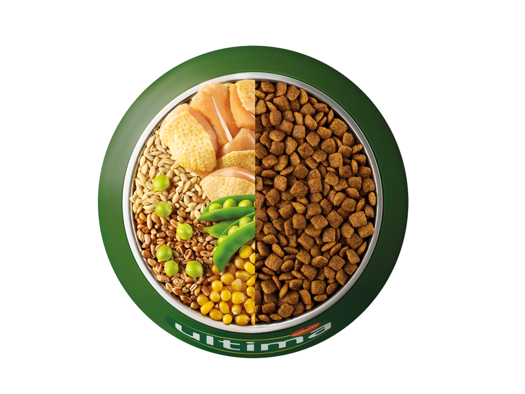 Poulet, orge, c&eacute;r&eacute;ales compl&egrave;tes et pois