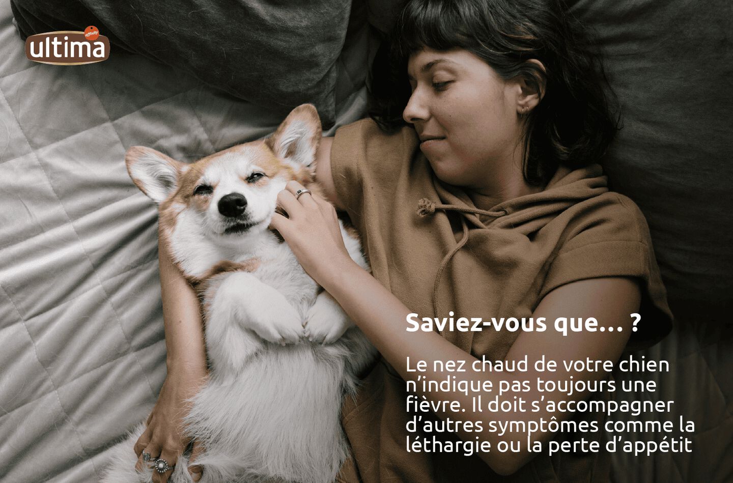 Photographie d&rsquo;un chien blanc avec texte : &ldquo;Le nez chaud de votre chien n&rsquo;indique pas toujours une fi&egrave;vre. Il doit s&rsquo;accompagner d&rsquo;autres sympt&ocirc;mes comme la l&eacute;thargie ou la perte d&rsquo;app&eacute;tit&rdquo;. Une bulle indique que le chien dit : &ldquo;Mieux vaut utiliser un thermom&egrave;tre pour v&eacute;rifier que tout va bien !&rdquo;