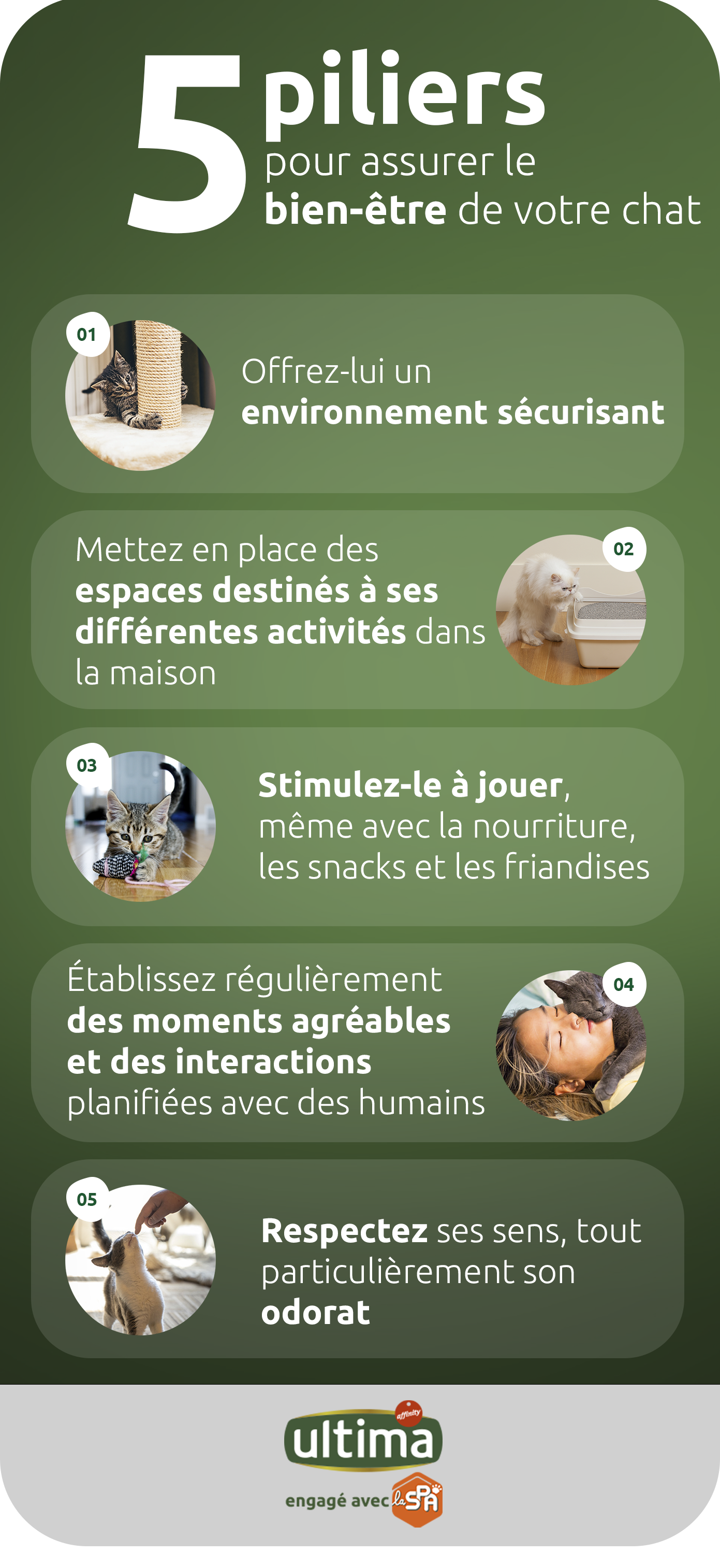 5 piliers pour assurer le bien-être de votre chat