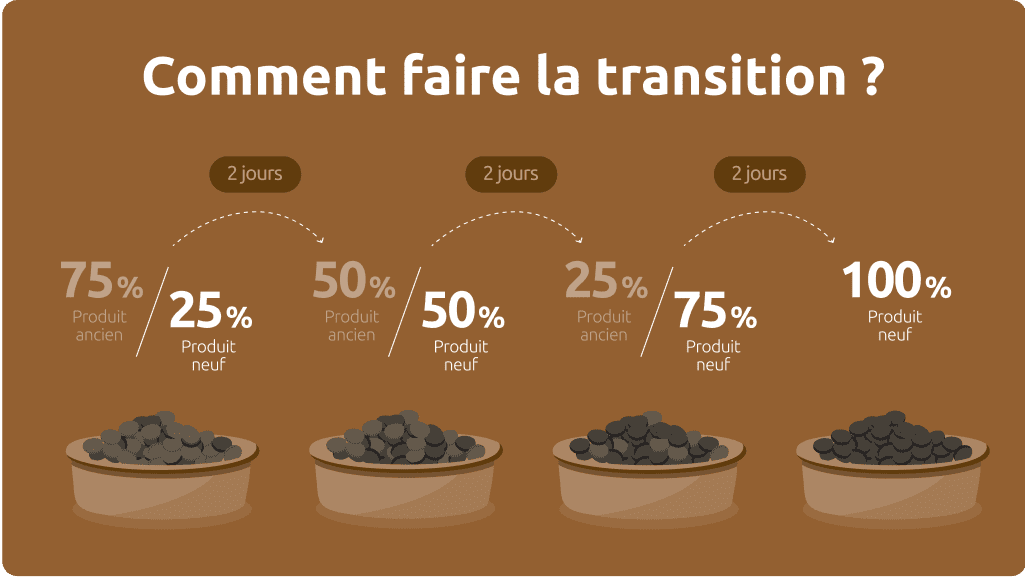 Transition alimentaire pour chien
