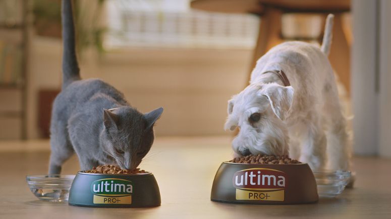 Ultima pro+ articulo.jpg
