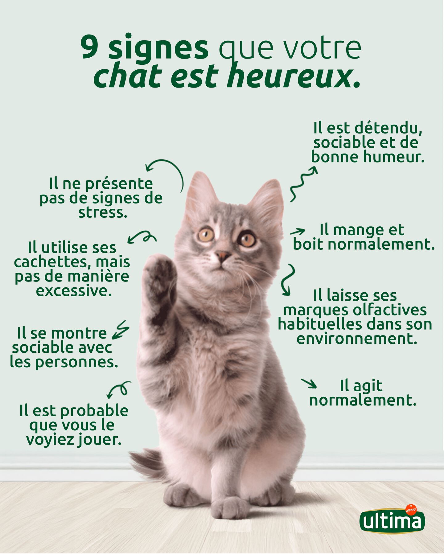 9 signes que votre chat est heureux
