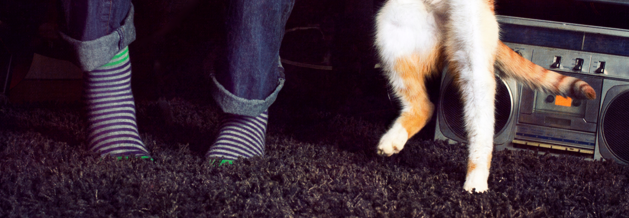 Image Link For Musique pour chien et chat