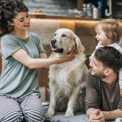 Image Link For Les étapes de la vie de votre chien : du chiot au senior