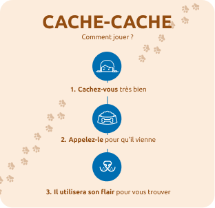 Jeu cache-cache