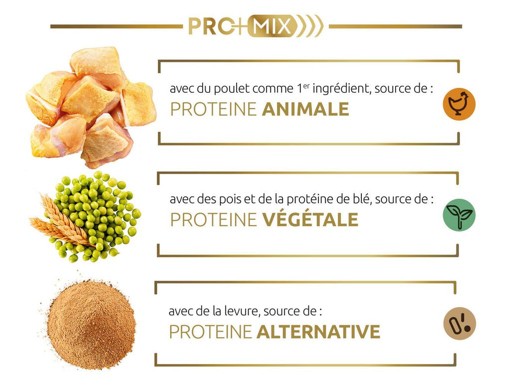 Notre association innovante de prot&eacute;ines de haute qualit&eacute;, facile &agrave; dig&eacute;rer, qui apporte des acides amin&eacute;s essentiels pour contribuer au maintien de sa masse musculaire.