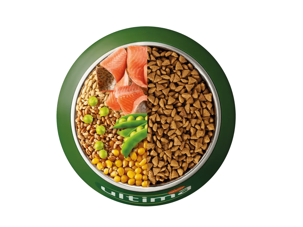 Truite, orge, c&eacute;r&eacute;ales compl&egrave;tes et pois