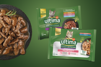 Promotion FR Ultima Wet Feb 2026.png