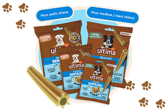 Landing snacks FR Dental Desktop.png