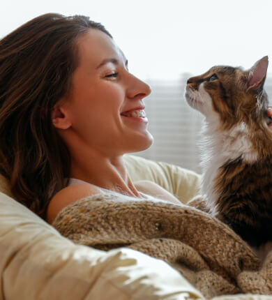 Image Link For Langage corporel du chat : le décoder