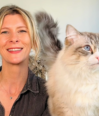 Image Link For Vacances avec chien ou chat : 6 conseils