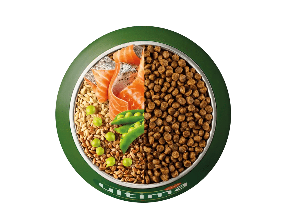 Saumon, orge, c&eacute;r&eacute;ales compl&egrave;tes et pois