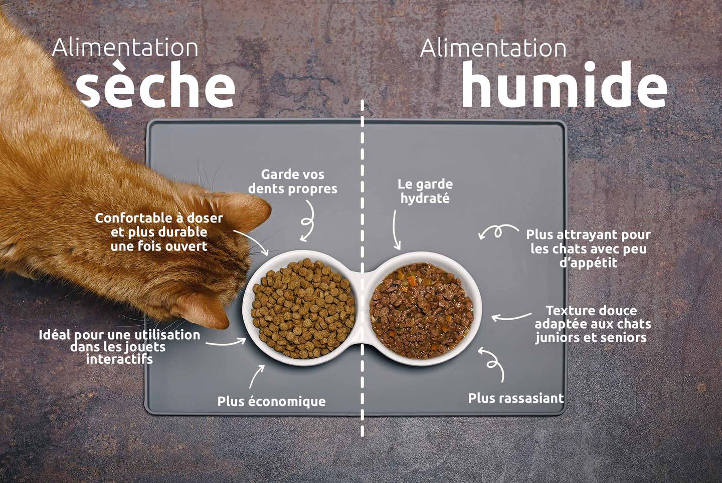 Avantages de combiner la nourriture humide et la nourriture sèche