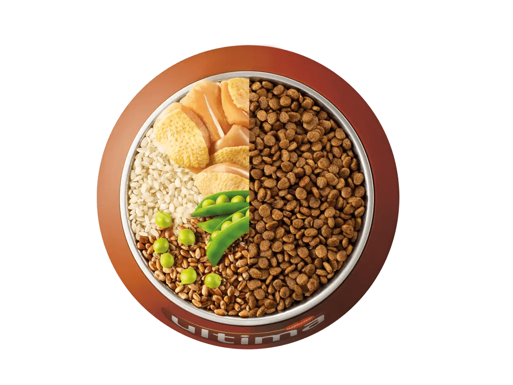 Poulet, riz, c&eacute;r&eacute;ales compl&egrave;tes et pois