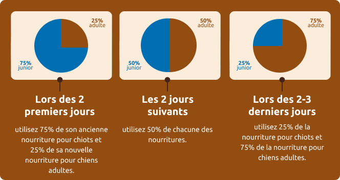 Proposition de changement d'alimentation progressif pour votre chien