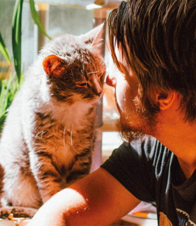 Image Link For Comment le comportement des chats évolue-t-il en fonction des saisons ?