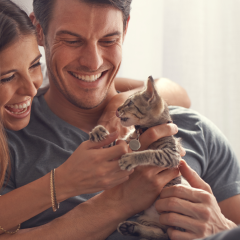 Image Link For Guide complet pour prendre soin d’un chaton nouveau-né