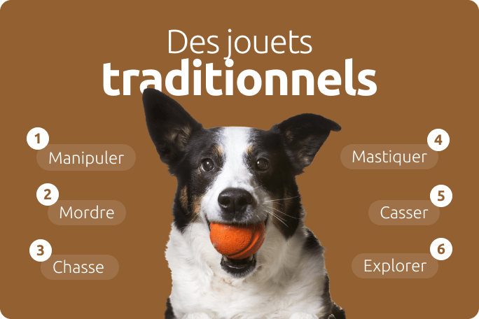 Jeux traditionnels pour chiens